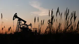 Доля нефтегазового сектора в ВВП России в прошлом году снизилась до 13% — это минимум за весь период доступной статистики. Падение цен на нефть, ограничения добычи и санкции ударили по прибыли компаний и доходам бюджета, усилив долгосрочный тренд на постепенное сокращение нефтяной отрасли.
