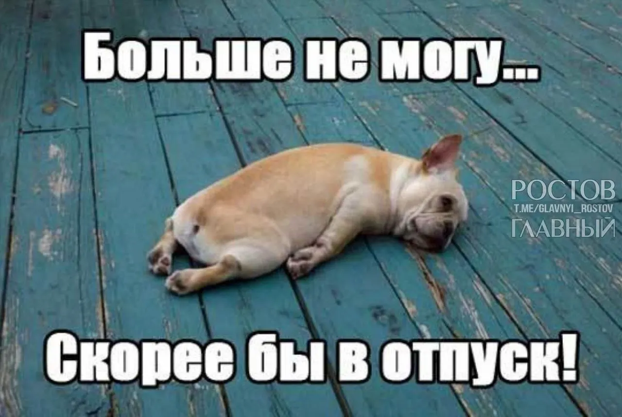 Депутаты предлагают повысить минимальную продолжительность отпуска с 28 до 35 дней, чтобы компенсировать праздничные дни и снизить риск профессионального выгорания.