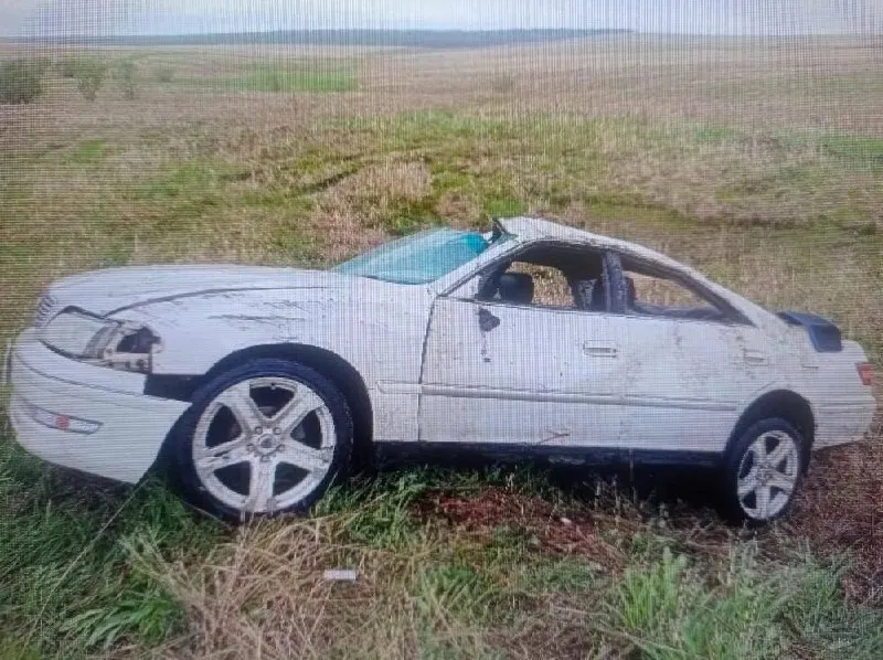 На 266-м километре трассы в Чернышевском районе Toyota Mark II вылетела с проезжей части: 36‑летний водитель погиб, пассажир госпитализирован.