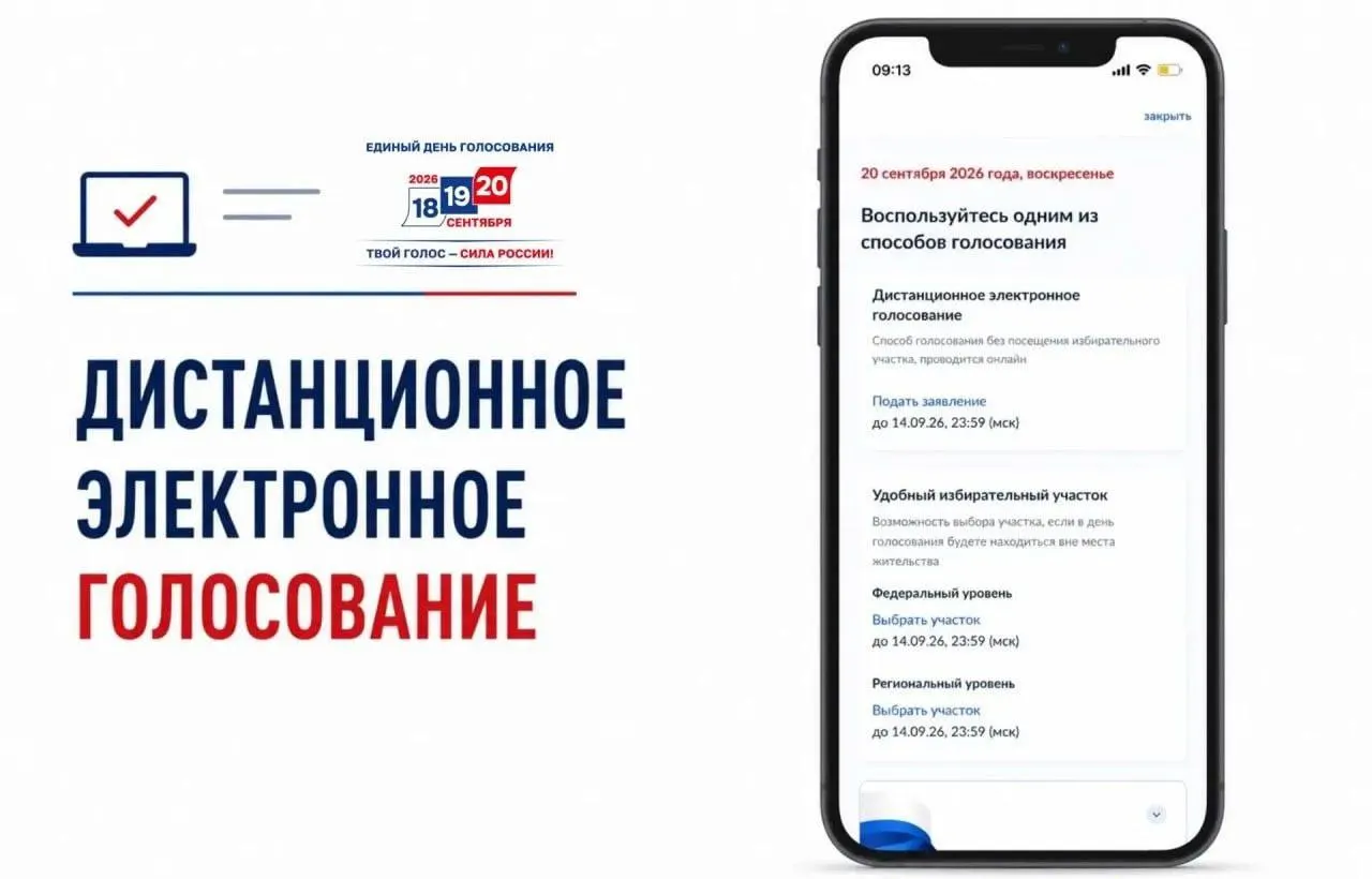 Началась подача заявлений на дистанционное электронное голосование; авторы выражают озабоченность по поводу прозрачности и возможных манипуляций.