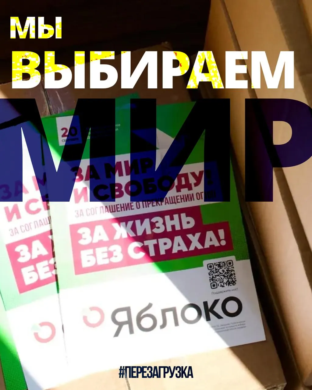 В 53 регионах идёт кампания 135 кандидатов от партии «Яблоко». На карте регионов можно выбрать свой регион и найти представителей, выступающих за мир и свободу.