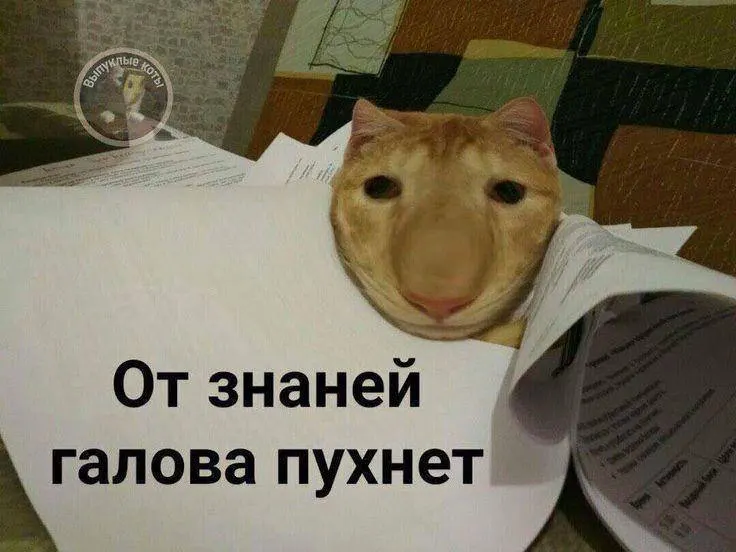 Министр спорта сообщил, что испытание по управлению небольшим дроном планируют опробовать в тестовом режиме в этом году, а со следующего года оно может быть доступно по всей стране и приносить дополнительные баллы к экзаменам.