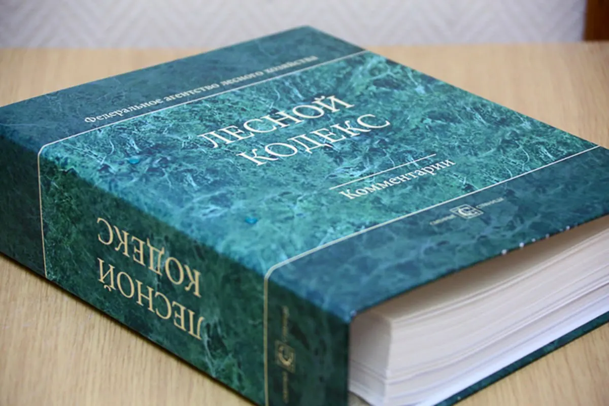 Лесной кодекс, принятый в 2006 году, претерпел почти сотню поправок; эксперт Алексей Ярошенко считает, что закон устарел и требует полной замены с упрощением правил.