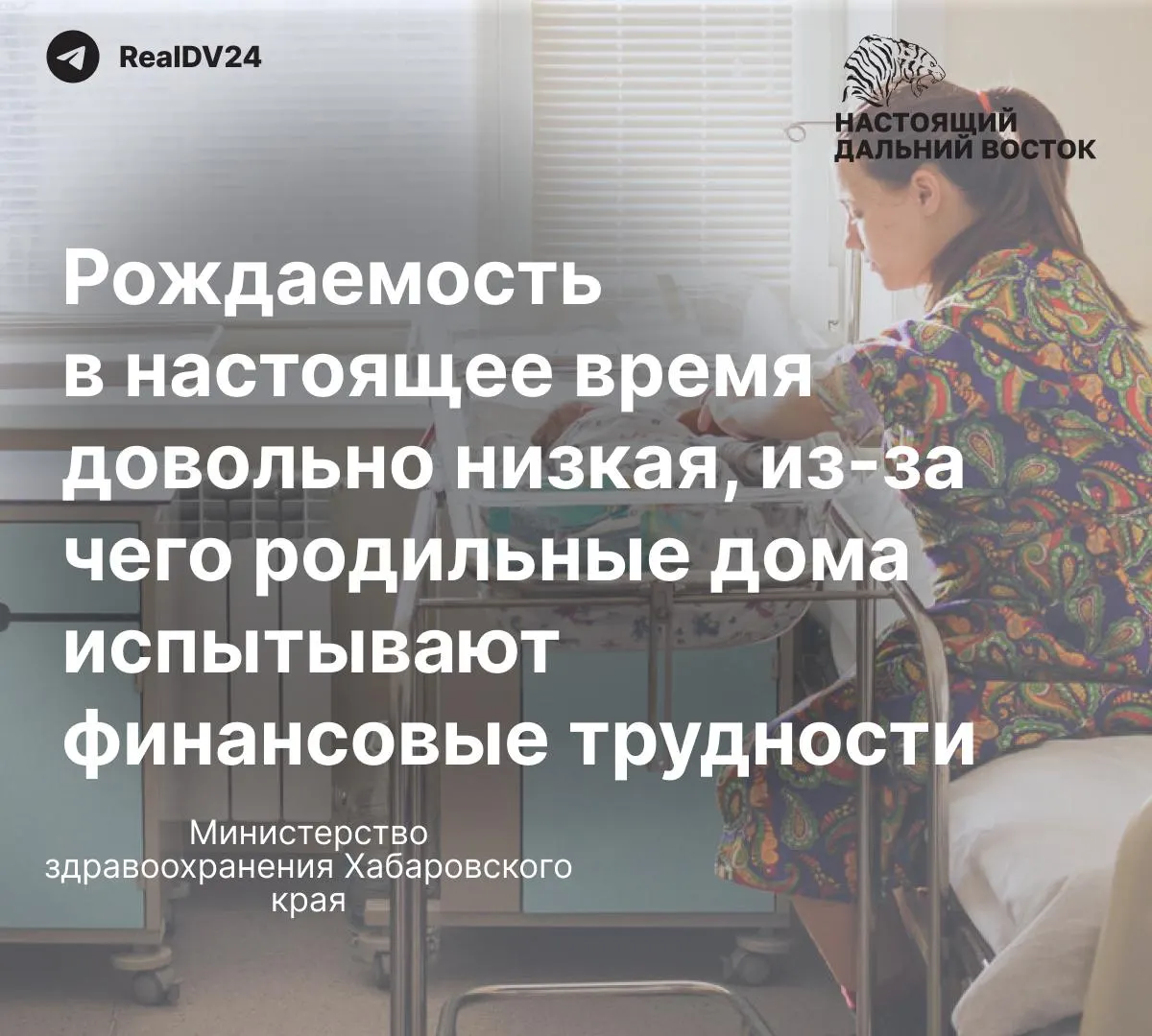 Жительницы Хабаровска сообщают о снятых сиденьях унитазов и сломанном смесителе в душевой в городских роддомах. В региональном Минздраве заявили, что финансирование зависит от числа родов и пообещали ремонт в 2026 году — женщины требуют немедленных мер.