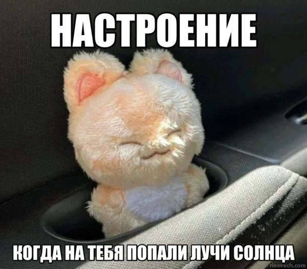 В национальном рейтинге по числу солнечных дней Чита возглавила список; Хабаровск идёт вторым, Якутск — среди самых холодных городов выборки.