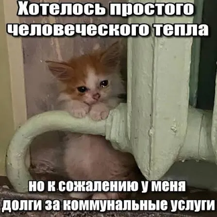 ВС подтвердил, что трёхлетний срок исковой давности препятствует принудительному взысканию задолженностей за капремонт и их отражению в квитанциях. Решение важно для покупателей вторичного жилья и наследников.
