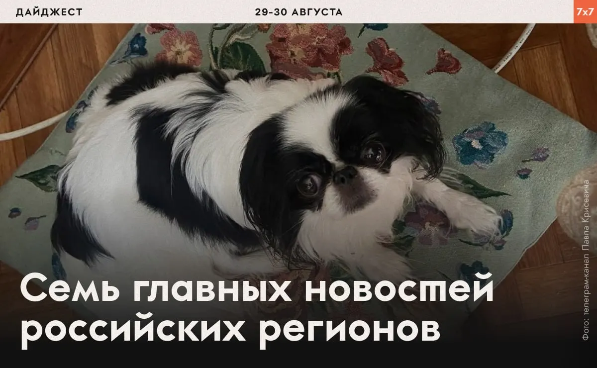 В выпуске — аресты и давление на правозащитников, запреты на застройку и разведение рыбы в озерах, а также призыв к подписке на рассылку.