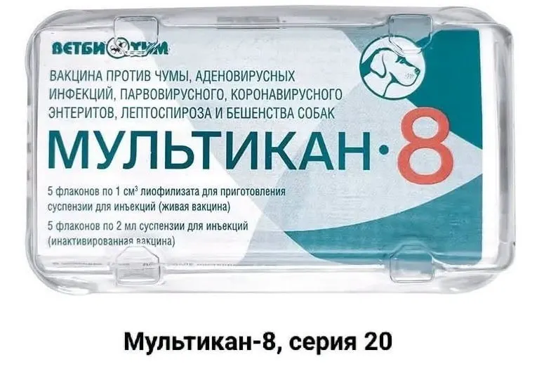 Владельцы питомцев требуют прозрачности после смертей собак, связанных с вакцинацией препаратом «Мультикан-8». Случаи зафиксированы в нескольких регионах, производство отзывает серии, расследования готовятся.