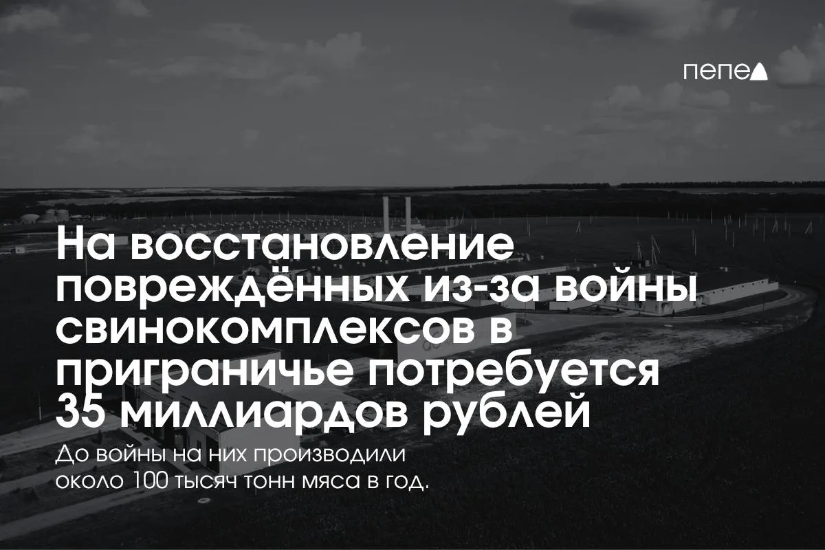 Расходы на реконструкцию пострадавших предприятий в Белгородской, Курской и Брянской областях оцениваются в 35 млрд рублей; последствия — снижение производства свинины и новые затраты на безопасность.