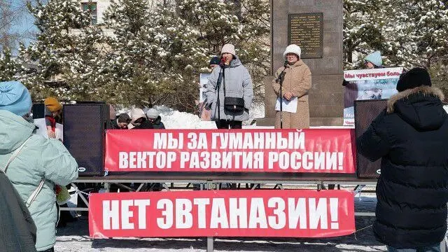 Суд частично ограничил применение усыпления бездомных собак в условиях экстраординарных ситуаций в Хабаровском крае, приняв часть требований защитников животных.