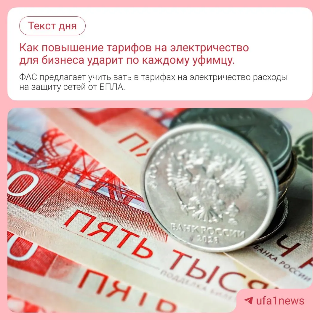 Расчёты тарифов могут учитывать затраты сетевых компаний на защиту электросетей от беспилотников, что повлияет на тарифы по всей стране.